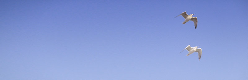 About_us_header