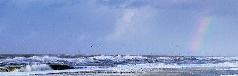 About_us_header